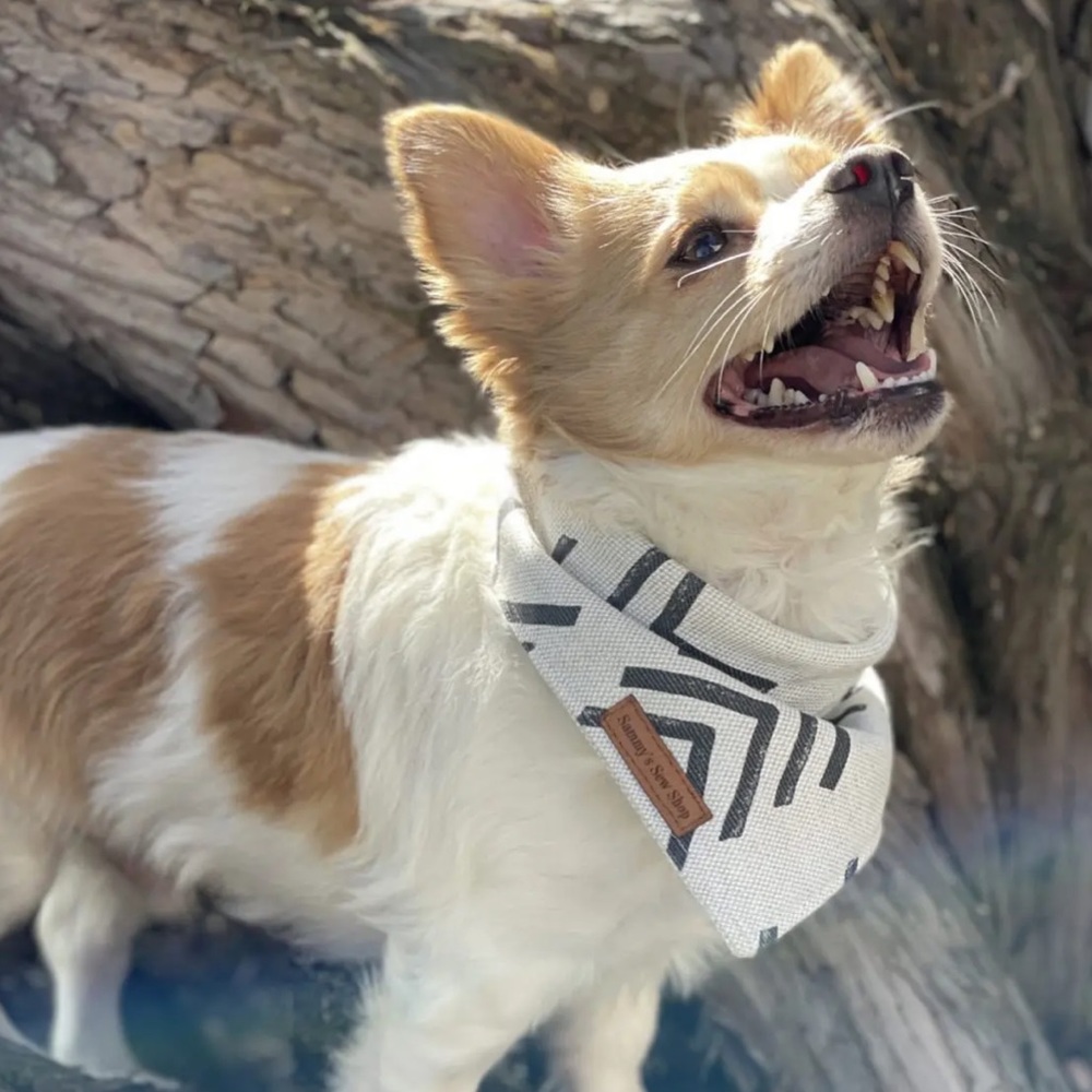 Modern Mud Cloth Pet Bandana